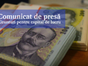 Comunicat de presă – Granturi pentru capital de lucru Comunicat de Presa - Granturi capital de lucru