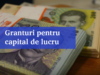 Situația privind plata Granturilor pentru capital de lucru – Măsura 2, în 9 aprilie 2021
