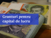Situația privind plata Granturilor pentru capital de lucru – Măsura 2, în 9 aprilie 2021