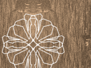 Începere implementare măsura “Granturi pentru capital de lucru acordate beneficiarilor” IMM-uri cu activitate economică în unul din domeniile de activitate prevăzute în anexa nr. 2 pentru Amphia Productions SRL Amphia Productions