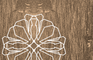 Începere implementare măsura “Granturi pentru capital de lucru acordate beneficiarilor” IMM-uri cu activitate economică în unul din domeniile de activitate prevăzute în anexa nr. 2 pentru Amphia Productions SRL Amphia Productions