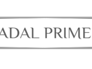 Granturi pentru capital de lucru acordate IMM-urilor – ADAL PRIME SRL