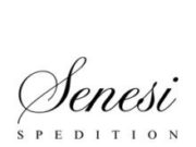 LANSARE PROIECT SENESI SPEDITION SRL Senesi Spedition