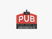 Începere implementare măsura “Granturi pentru capital de lucru acordate beneficiarilor” – THE PUB CENTRAL SRL The Pub Bucuresti